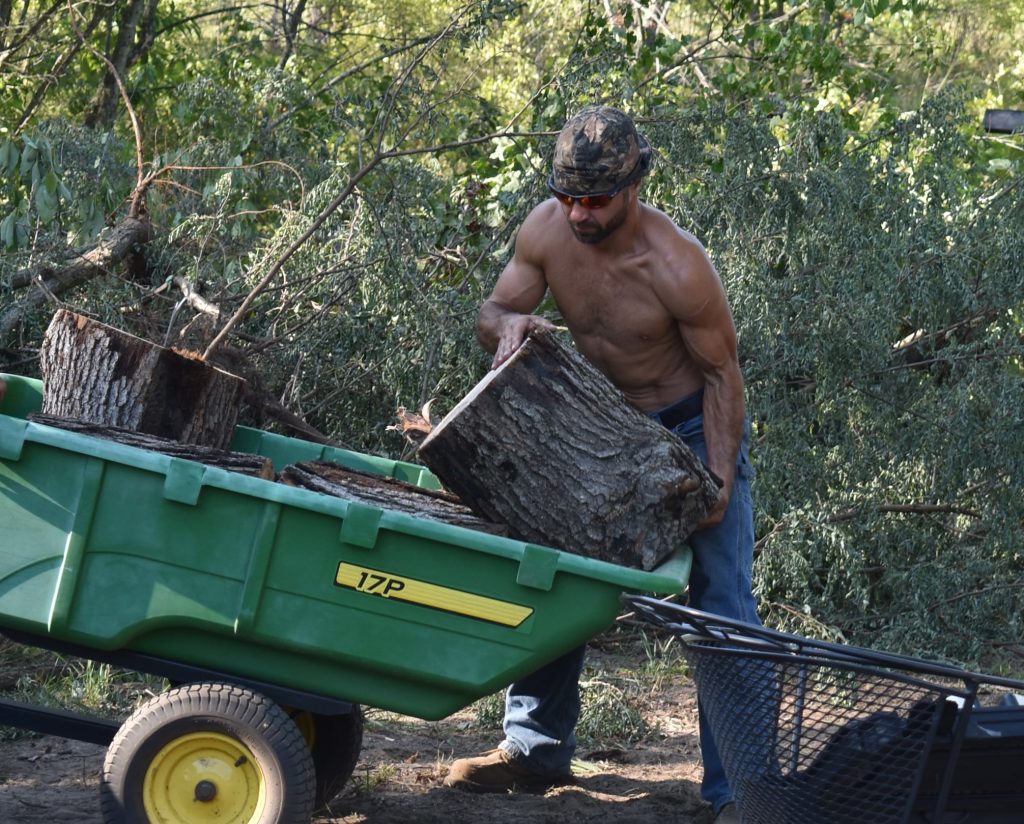 Tree Service Chicago